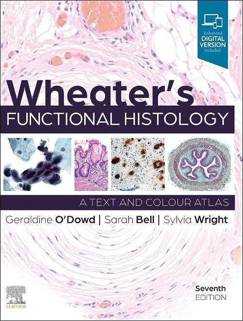 Wheaters Functional Histology (Paperback, 7)