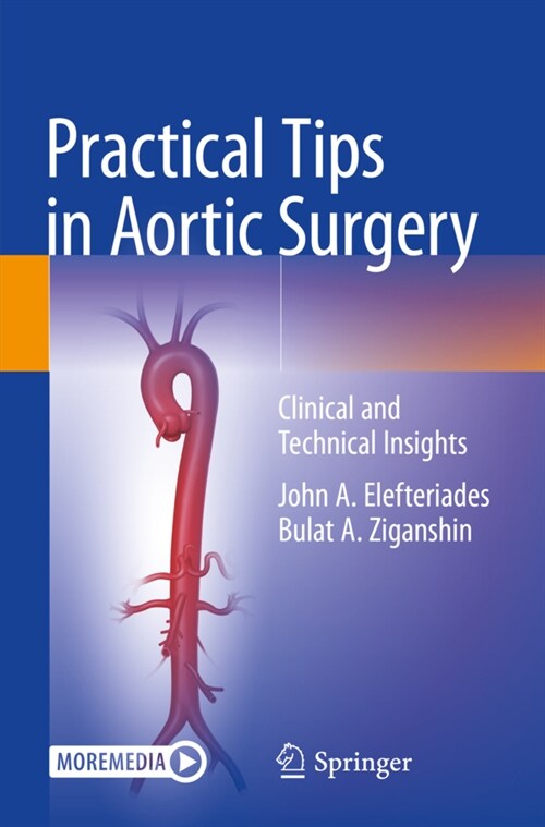Practical Tips in Aortic Surgery: Clinical and Technical Insights (Paperback, 2021)