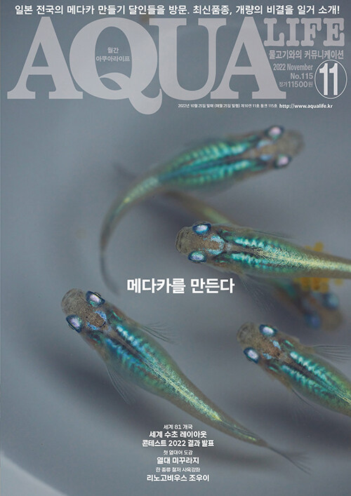 아쿠아 라이프 Aqua Life 2022.11