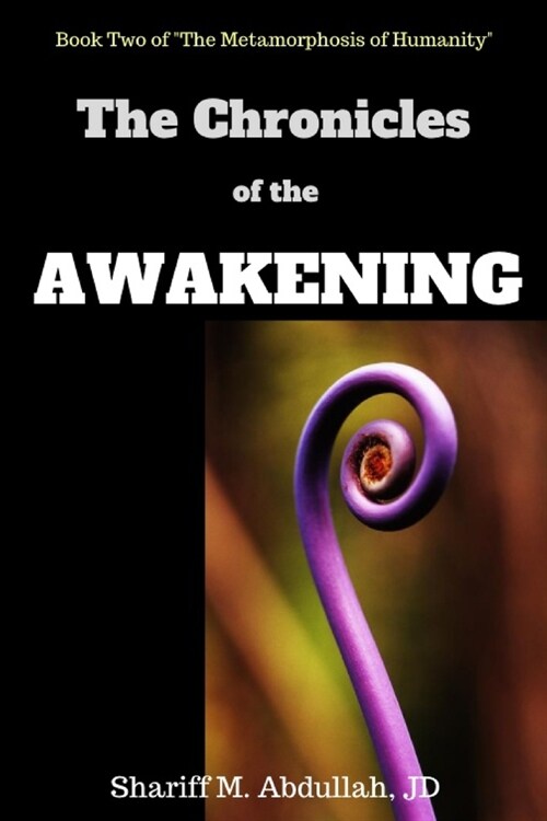 The Chronicles of the Awakening (Paperback)