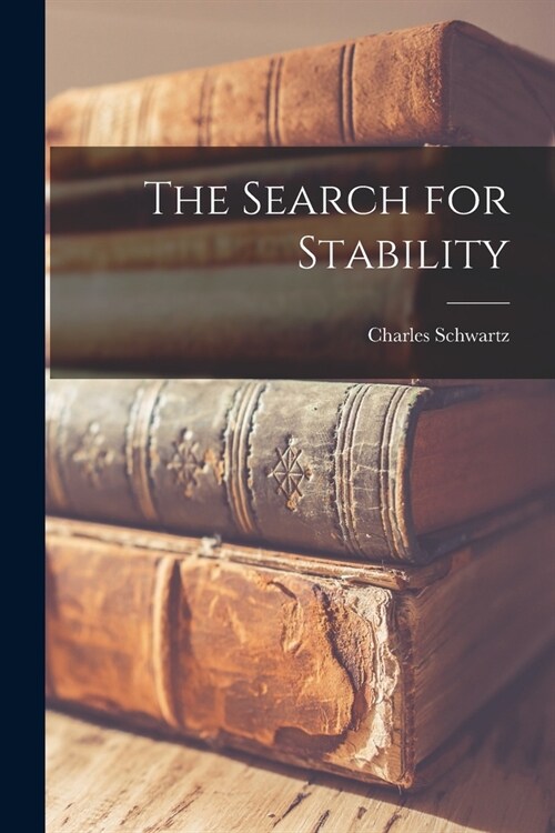 The Search for Stability (Paperback)
