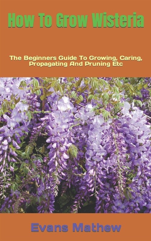 How To Grow Wisteria: The Beginners Guide To Growing, Caring, Propagating And Pruning Etc (Paperback)