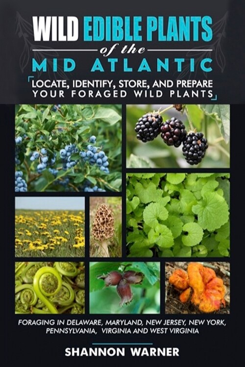 Wild Edible Plants in the Mid-Atlantic Region: Locate, Identify, Store and Prepare Wild Plants (Paperback)