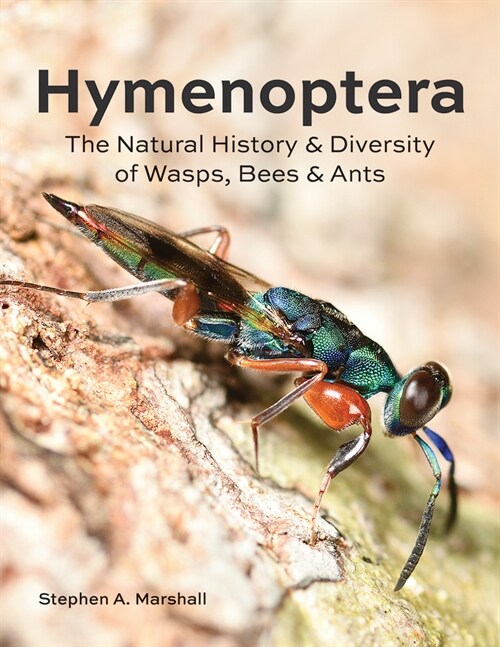 Hymenoptera: The Natural History and Diversity of Wasps, Bees and Ants (Hardcover)