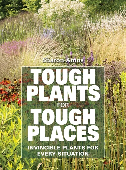Tough Plants for Tough Places: Invincible Plants for Every Situation (Paperback, 2)