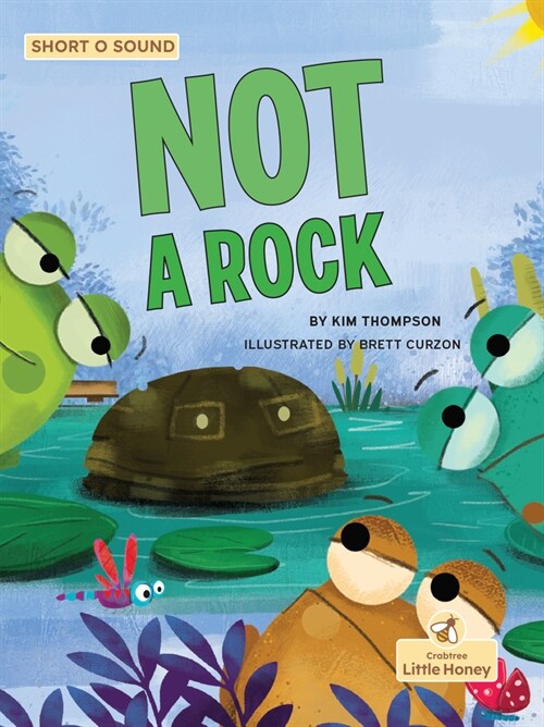 Not a Rock (Paperback)