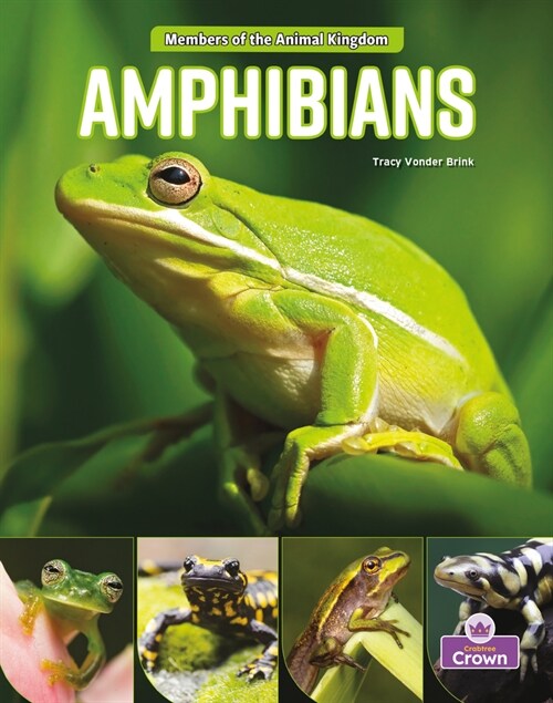 Amphibians (Paperback)