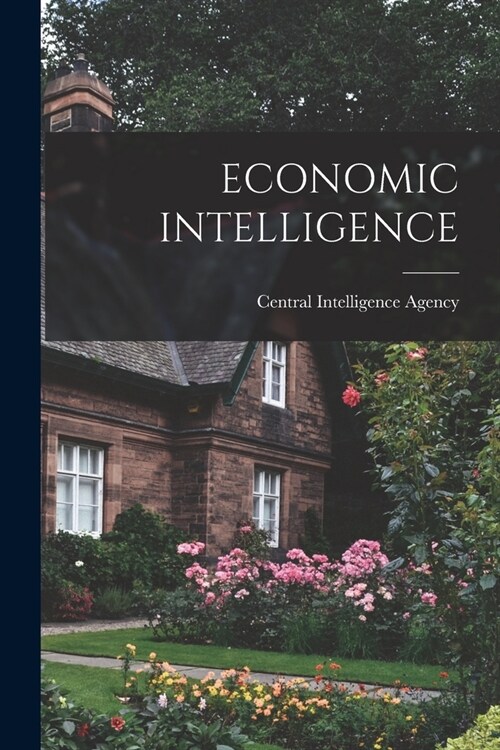 Economic Intelligence (Paperback)