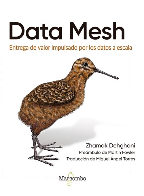 Data Mesh (Paperback)