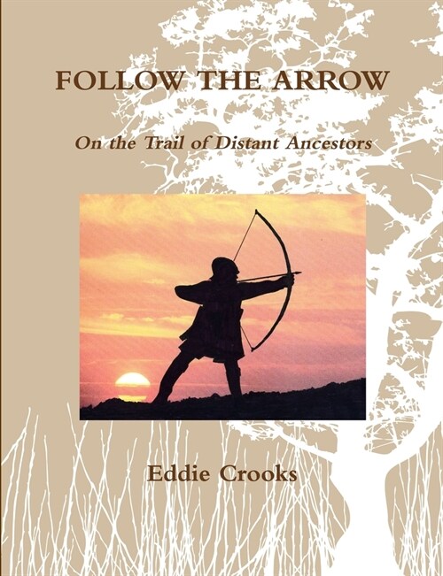 Follow the Arrow (Paperback)