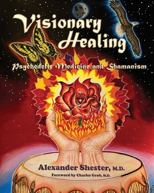 VISIONARY HEALING Psychedelic Medicine and Shamanism (Paperback)