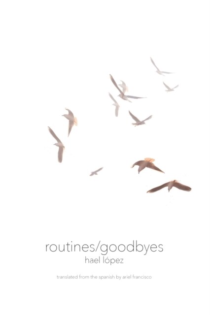 routines/goodbyes (Paperback)