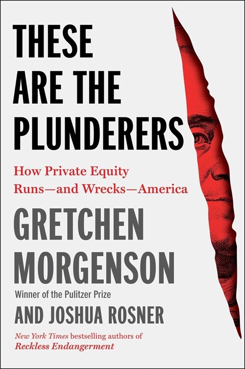 These Are the Plunderers: How Private Equity Runs--And Wrecks--America (Hardcover)