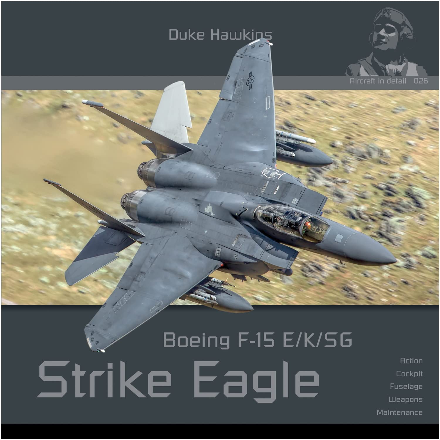 Boeing F-15 E/K/Sg Strike Eagle: Aircraft in Detail (Paperback)