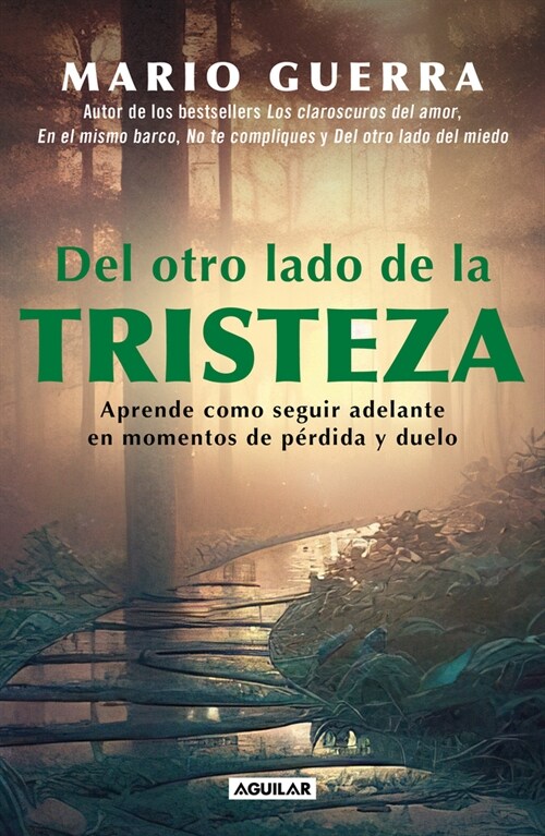 del Otro Lado de la Tristeza. Aprende Como Seguir Adelante En Momentos de P?did A Y Duelo / On the Other Side of Sadness. Learn How to Move on in Tim (Paperback)