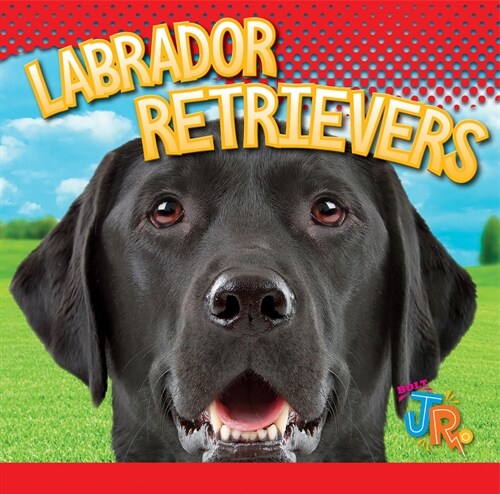 Labrador Retrievers (Library Binding)