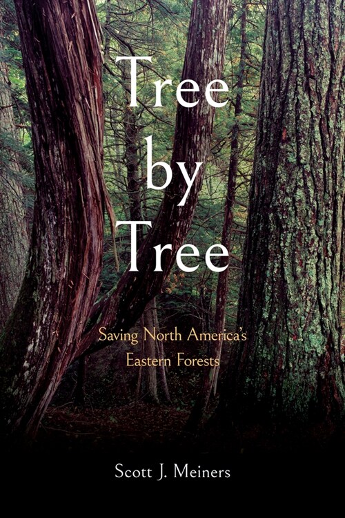 Tree by Tree: Saving North Americas Eastern Forests (Paperback)