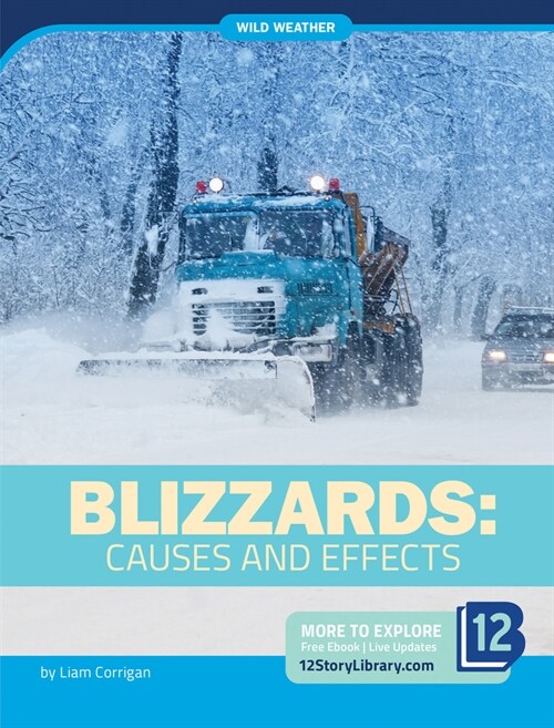 Blizzards: Causes and Effects (Library Binding)