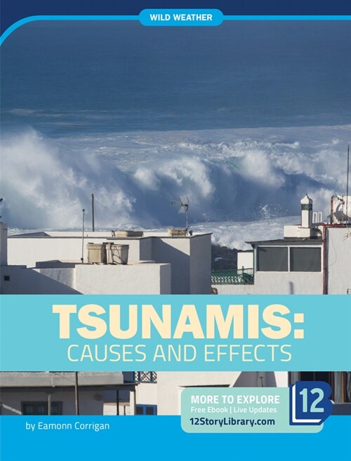 Tsunamis: Causes and Effects (Library Binding)