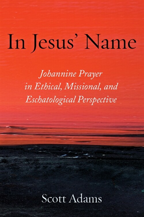 In Jesus Name (Paperback)