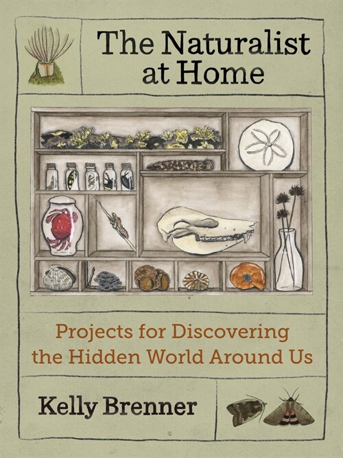 The Naturalist at Home: Projects for Discovering the Hidden World Around Us (Paperback)
