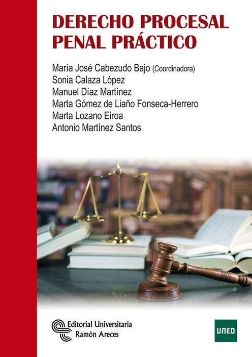 DERECHO PROCESAL PENAL PRACTICO (Paperback)