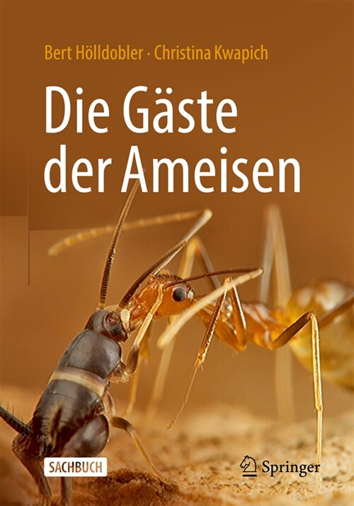 Die G?te Der Ameisen: Wie Myrmecophile Mit Ihren Wirten Interagieren (Paperback, 1. Aufl. 2023)