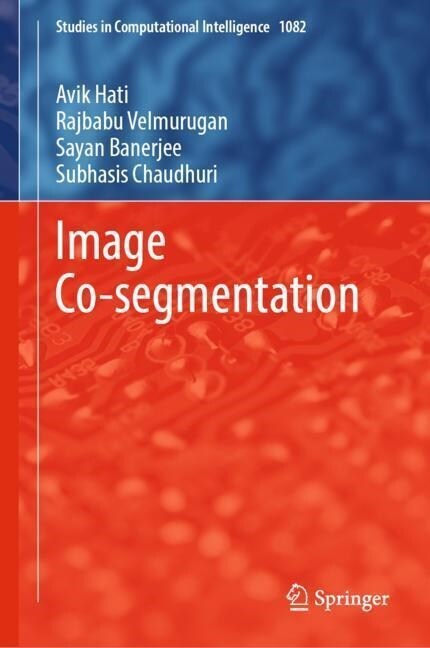 Image Co-segmentation (Hardcover)