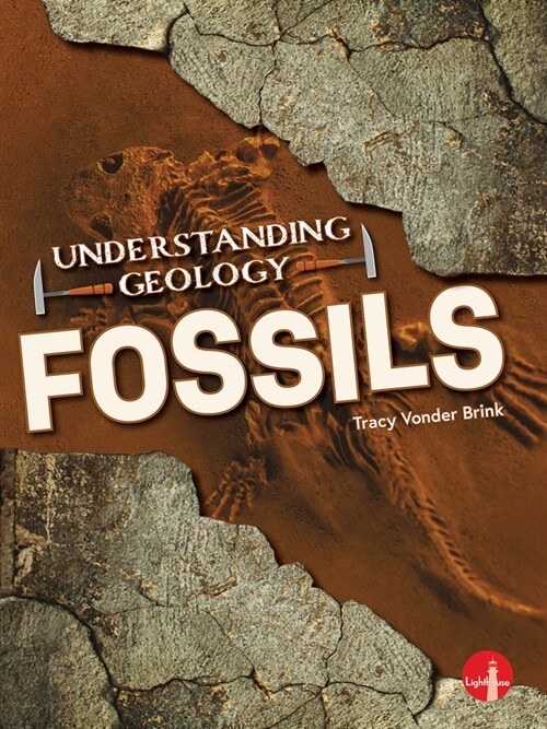 Fossils (Library Binding)