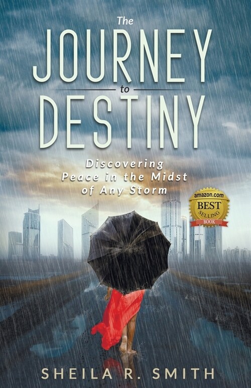 The Journey to Destiny (Paperback)