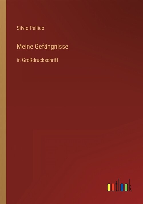 Meine Gef?gnisse: in Gro?ruckschrift (Paperback)