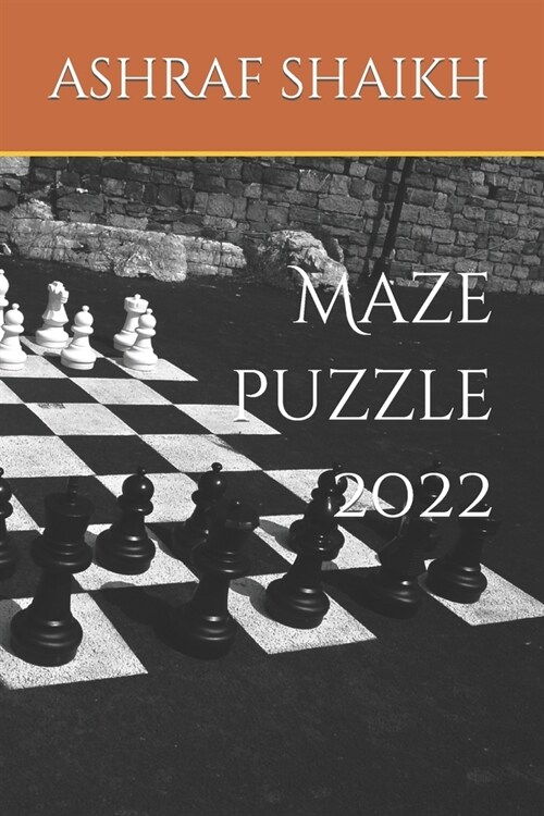 Maze puzzle 2022 (Paperback)