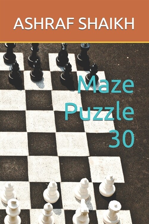 Maze Puzzle 30 (Paperback)