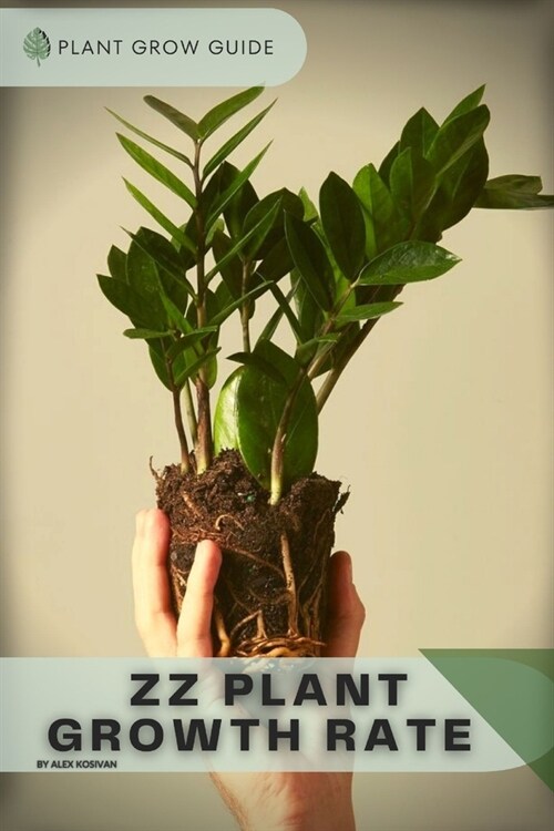 ZZ Plant Growth Rate: Plants guide (Paperback)