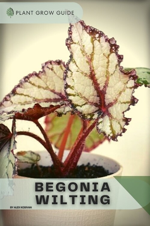 Begonia Wilting: Plants guide (Paperback)