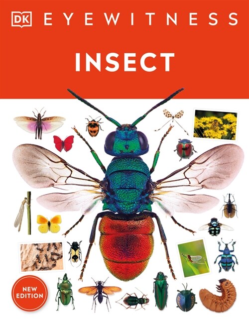 Eyewitness Insect (Hardcover)