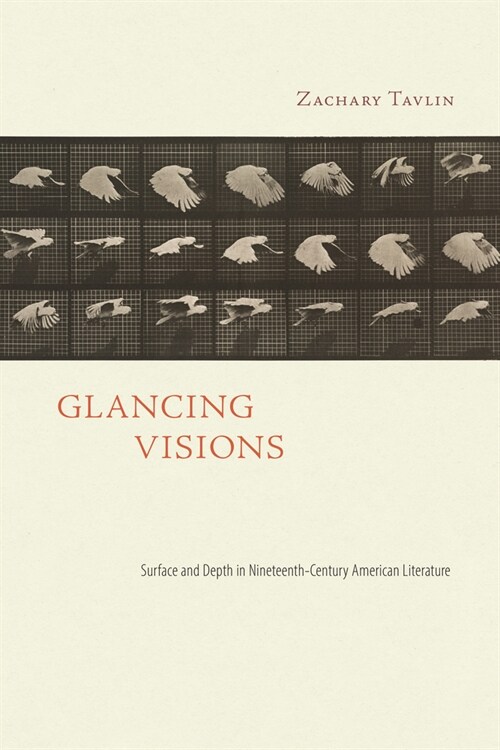 Glancing Visions: Surface and Depth in Nineteenth-Century American Literature (Hardcover)