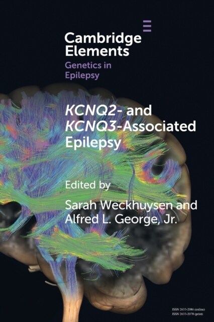 Kcnq2- And Kcnq3-Associated Epilepsy (Paperback)