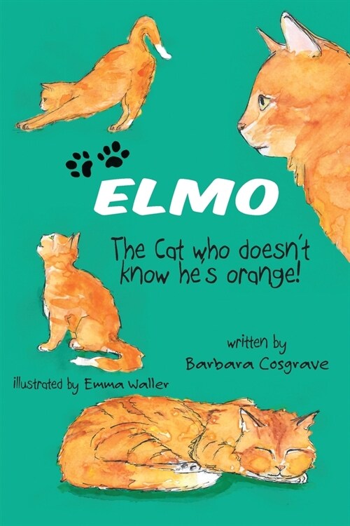 ELMO The Cat who doesnt know hes orange! (Paperback)
