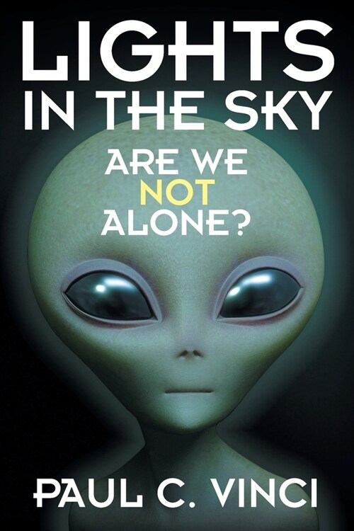 Lights in the Sky: Are We Not Alone? (Paperback)