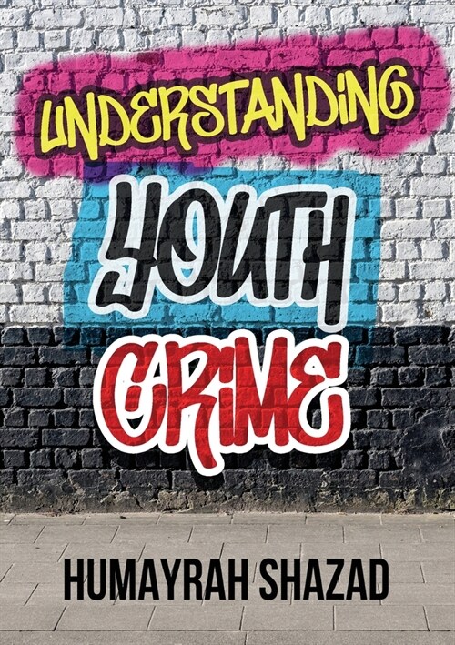 Understanding Youth Crime (Paperback)
