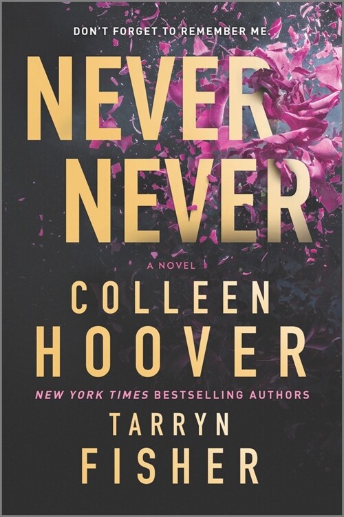 Never Never: A Romantic Suspense Novel of Love and Fate (Paperback, Original)