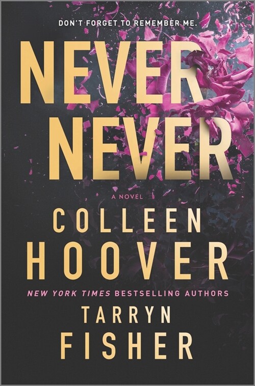 Never Never: A Romantic Suspense Novel of Love and Fate (Hardcover, Original)