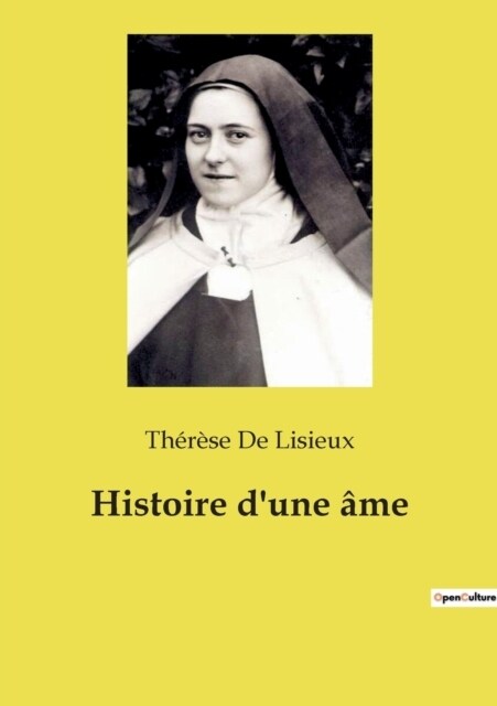 Histoire dune ?e (Paperback)