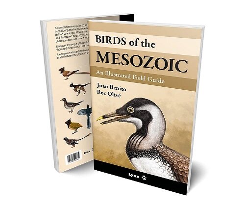 BIRDS OF THE MESOZOIC (Paperback)