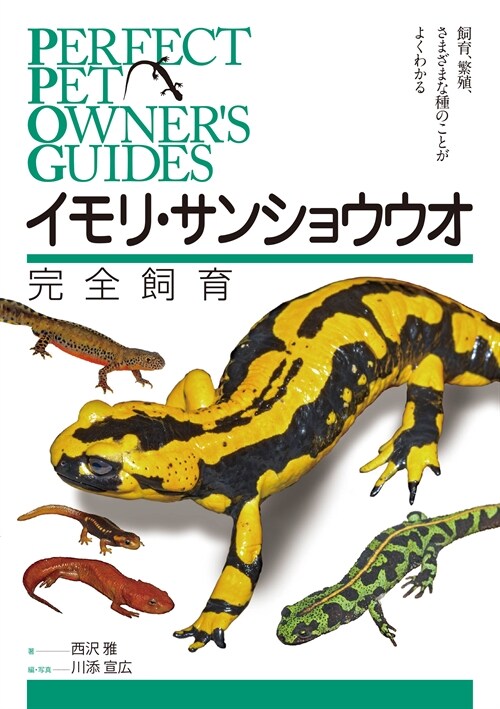 イモリ·サンショウウオ完全飼育: 飼育、繁殖、さまざまな種のことがよくわかる