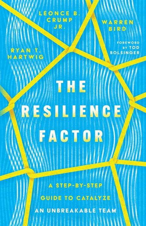 The Resilience Factor: A Step-By-Step Guide to Catalyze an Unbreakable Team (Paperback)
