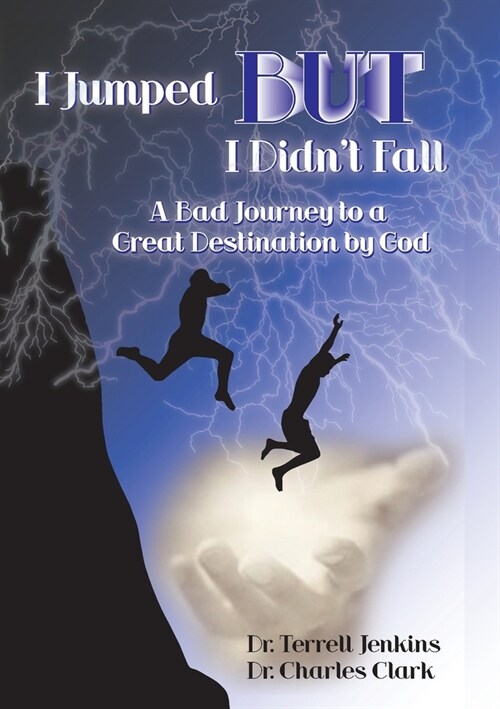 I Jumped, But I Didnt Fall (Paperback)