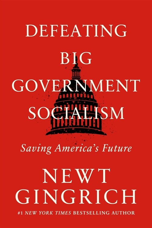 Defeating Big Government Socialism: Saving Americas Future (Paperback)