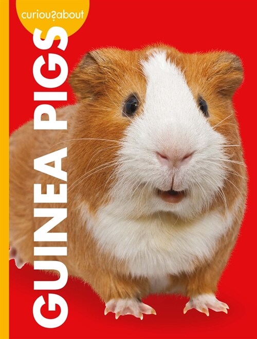 Curious about Guinea Pigs (Library Binding)